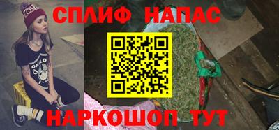 прущие грибы Комсомольск-на-Амуре
